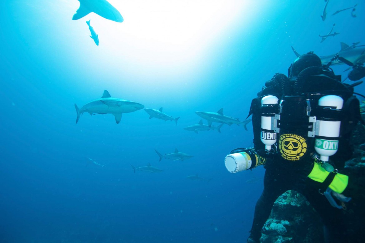 CLOSED CIRCUIT REBREATHERS