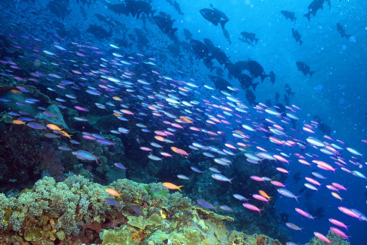 STOCKFOOTAGE / BACKGROUND PLATES